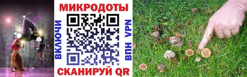 Псилоцибиновые грибы MAGIC MUSHROOMS гидра tor darknet наркотические препараты Камызяк